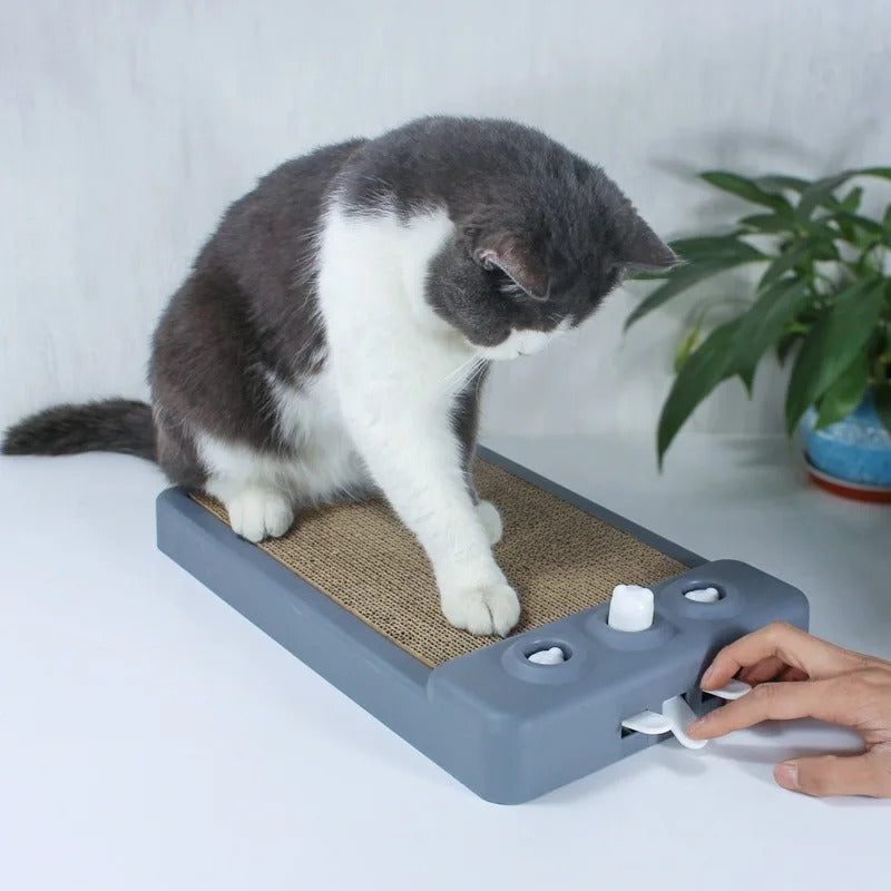 Rynx | Durable Cat Scratching Board
