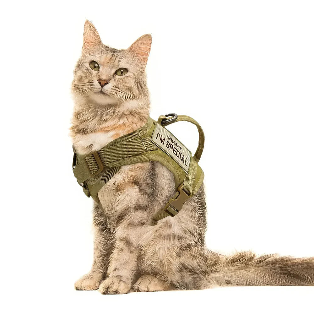 Rynx | Nylon Cat Harness Vest