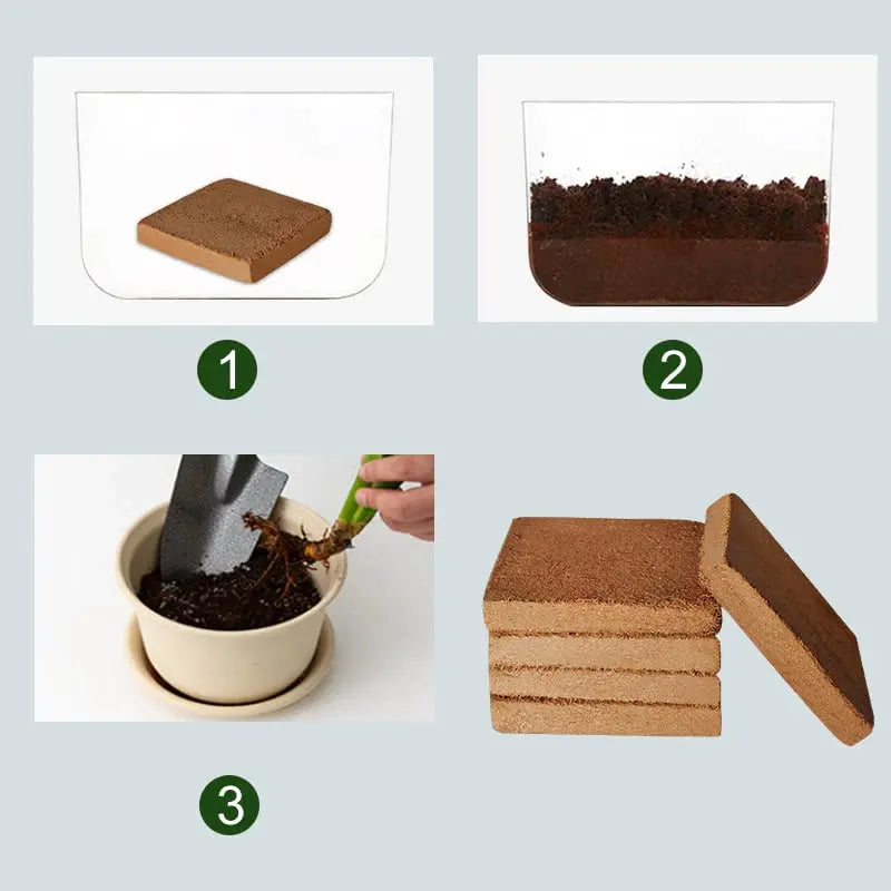 Rynx | Organic coconut fiber soil alternative for horticulture