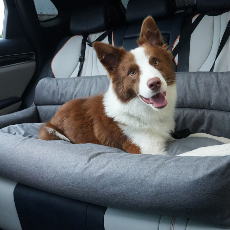 Rynx | Large Travel Safety Dog Car Back Seat Bed with Seat Belt