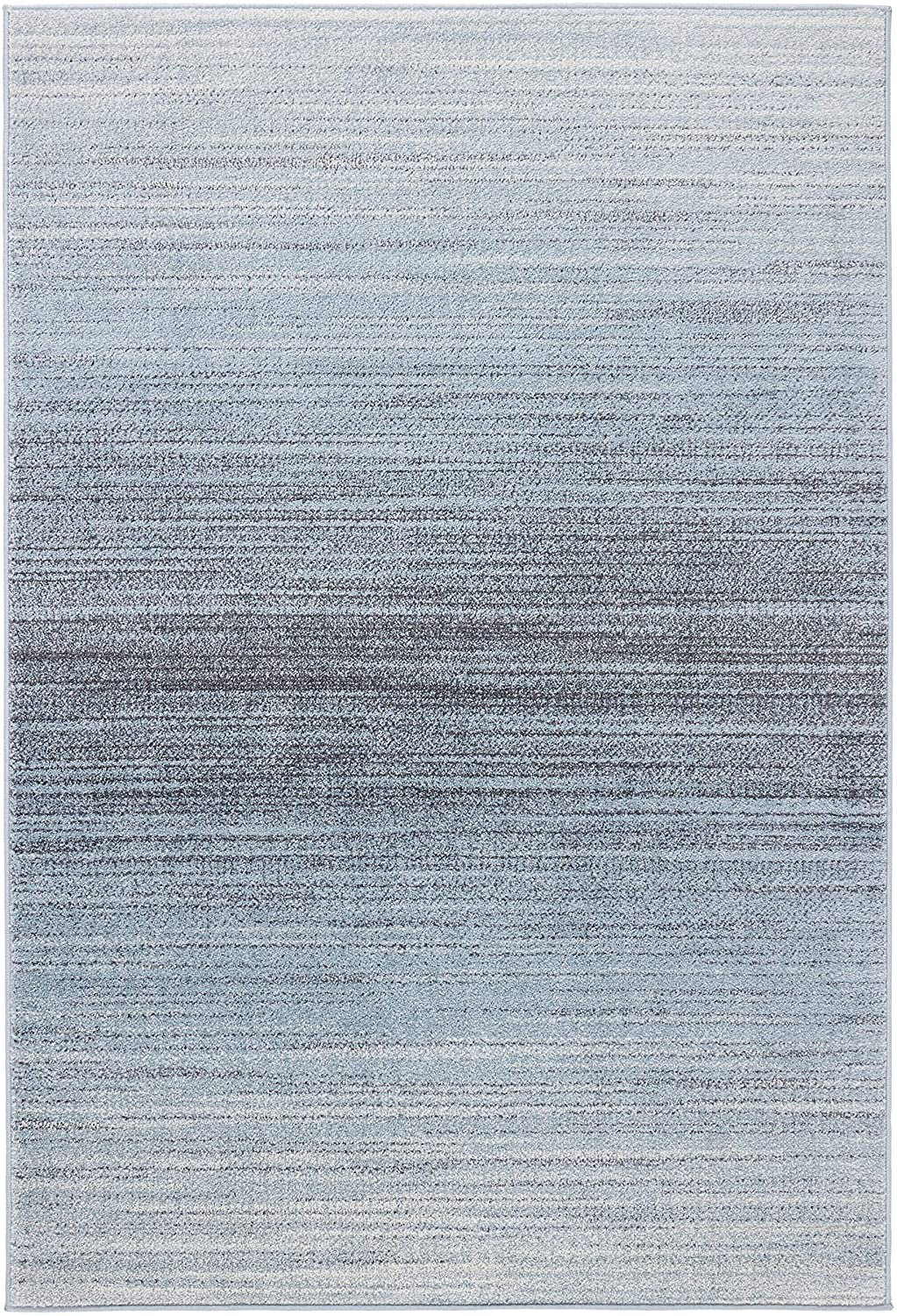 Rynx | Safavieh Adirondack Collection Adr142g Modern Ombre Accent Rug, 2'6" X 4', Gray / Light Gray
