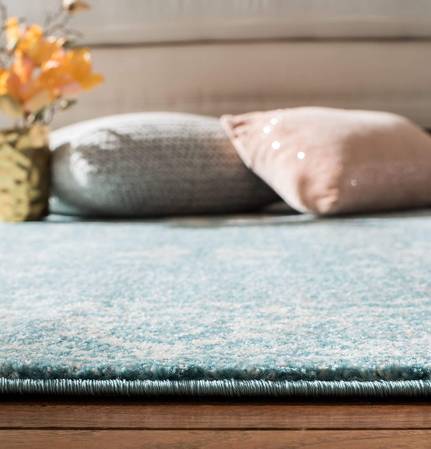 Rynx | Safavieh Evoke Collection Evk270k Shabby Chic Distressed Non-Shedding Stain Resistant Living Room Bedroom Accent Rug, 2'2" X 4', Coal / Ivory