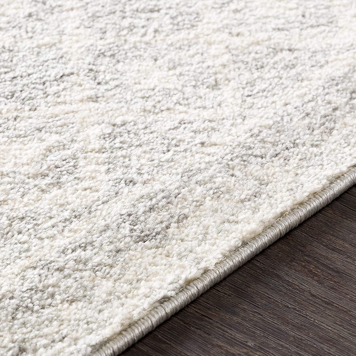 Rynx | Artistic Weavers Chester Gray Area Rug, 2'7" x 10'