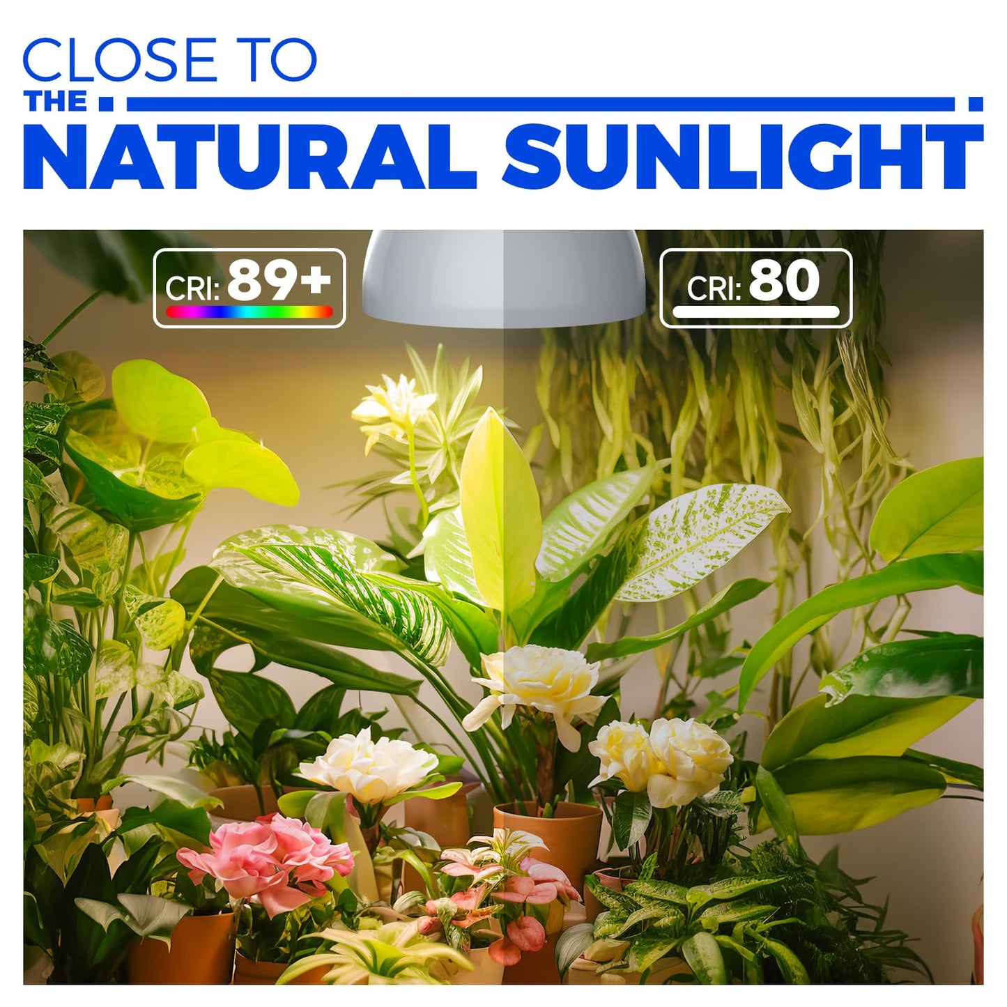 Rynx | Barrina 25W Full Spectrum Hanging Grow Light with Timer & 16.4Ft Cable for Indoor Plants