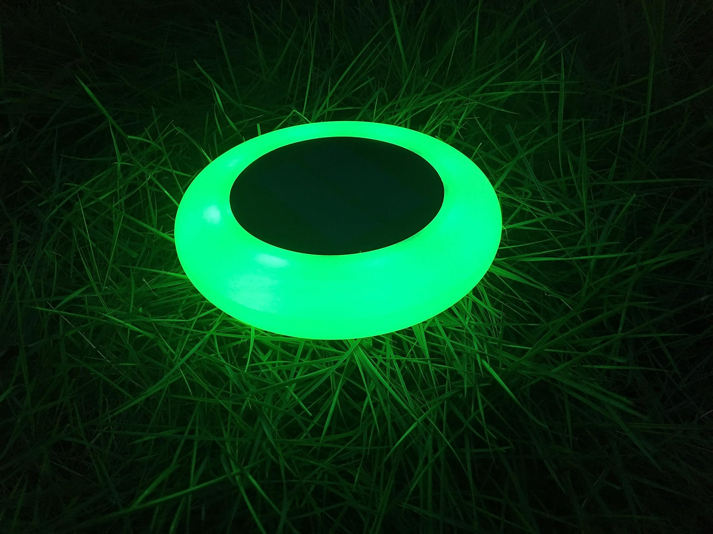 Rynx | Intelamp Color Changing Solar Light Outdoor 2 Pack with Remote Control - Garden and Path Lighting