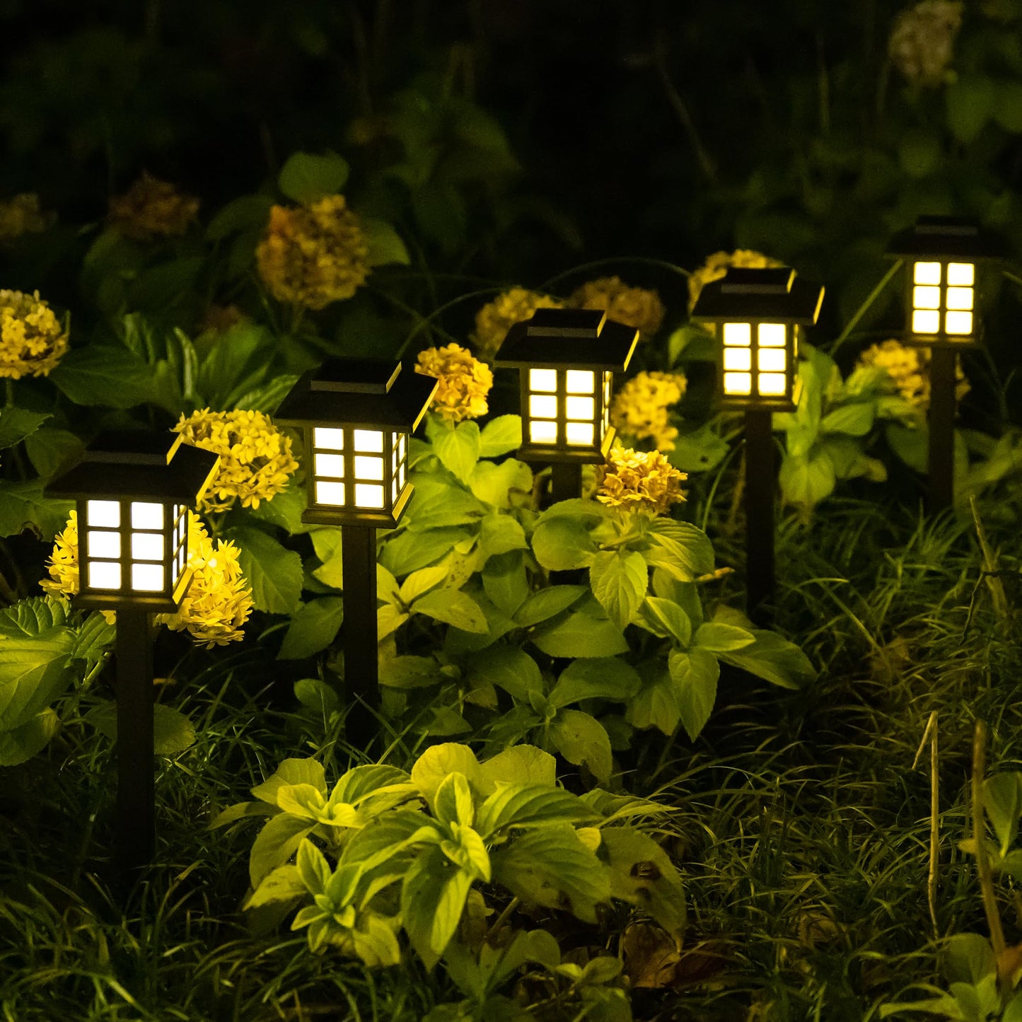 Rynx | Solpex 16 Pack Solar Outdoor Lighting - Waterproof Garden Path Lighting (Warm White)