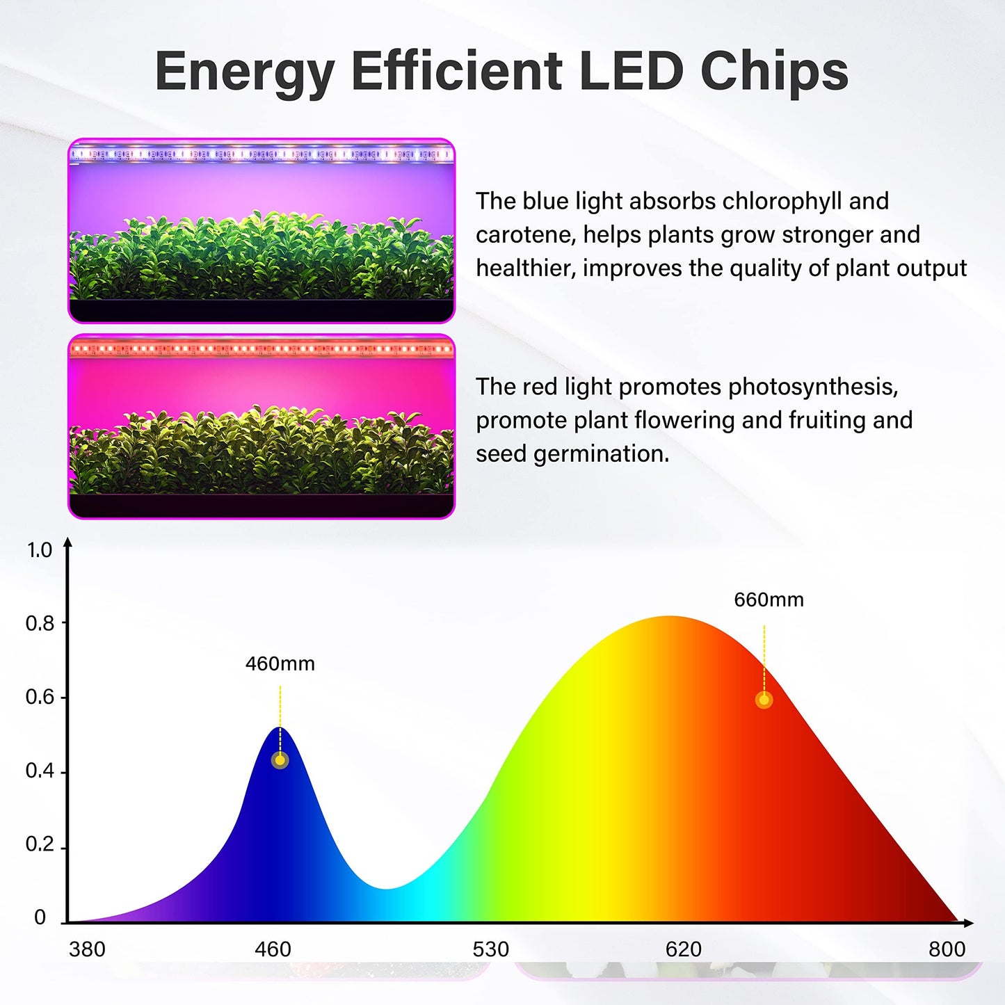 Rynx | Ipower 60W Led Grow Lights - Full Spectrum Plant Strips, Auto Timer, 10 Dimmable Levels, 4 Tub