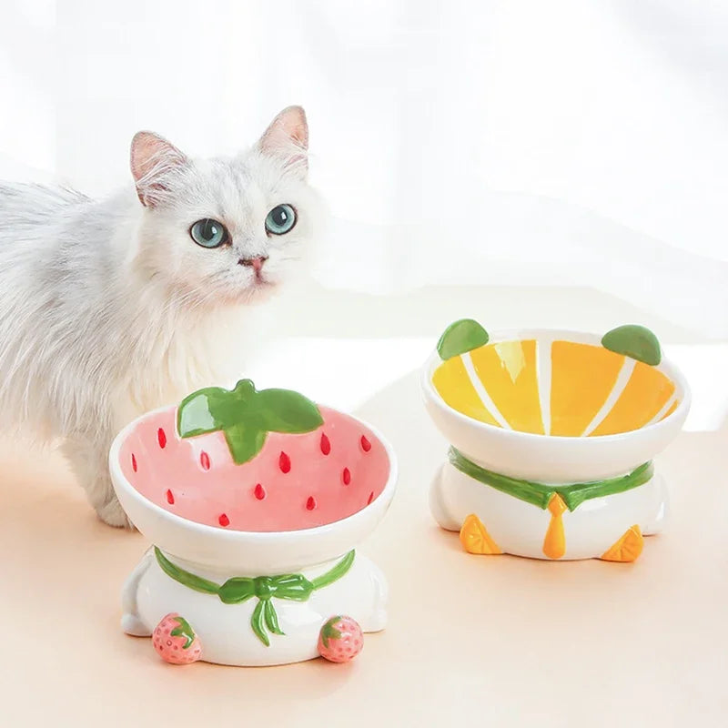 Rynx | Slanted elevated ceramic cat bowl