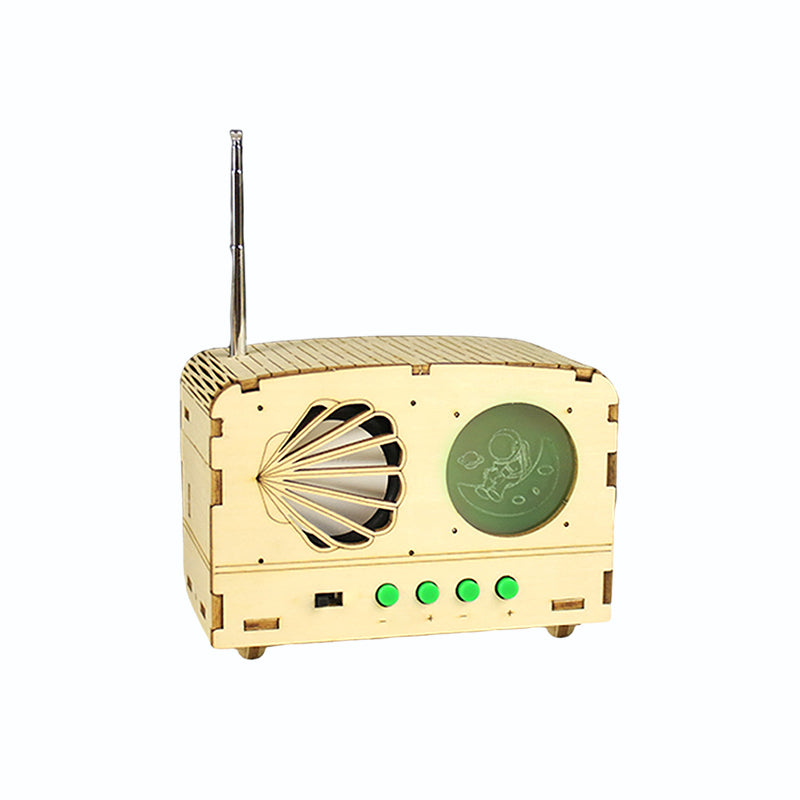 Rynx | Kids Craft Radio Model