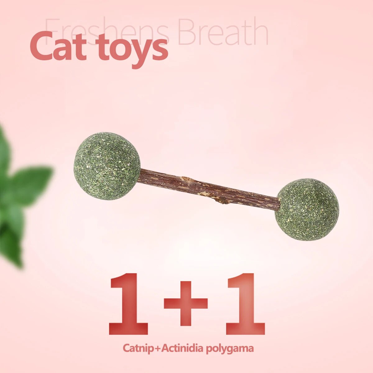 Rynx | Catnip Dumbbell Toy for Cats – Wooden Nibbling Pet Toy