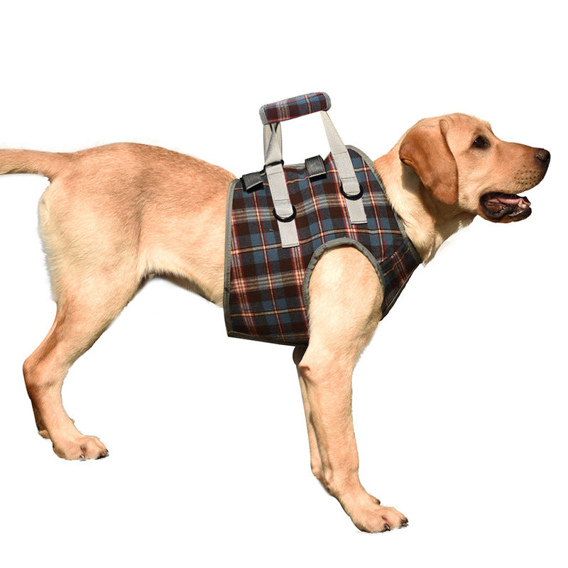 RYNX | Orthopedic Strap For Hind Legs