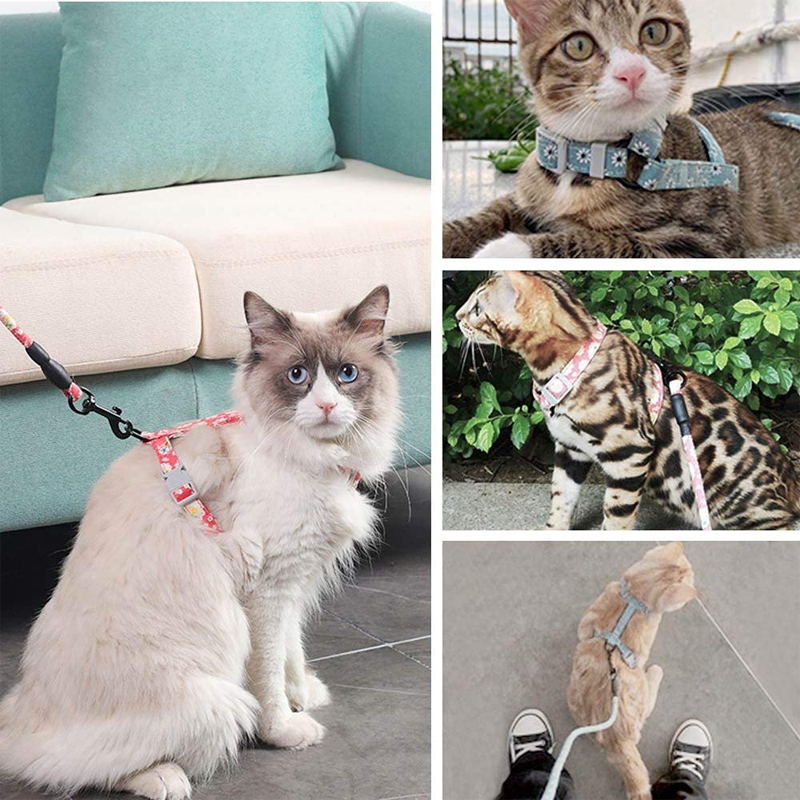 Rynx | Soft Adjustable Cat Harness and Leash Set