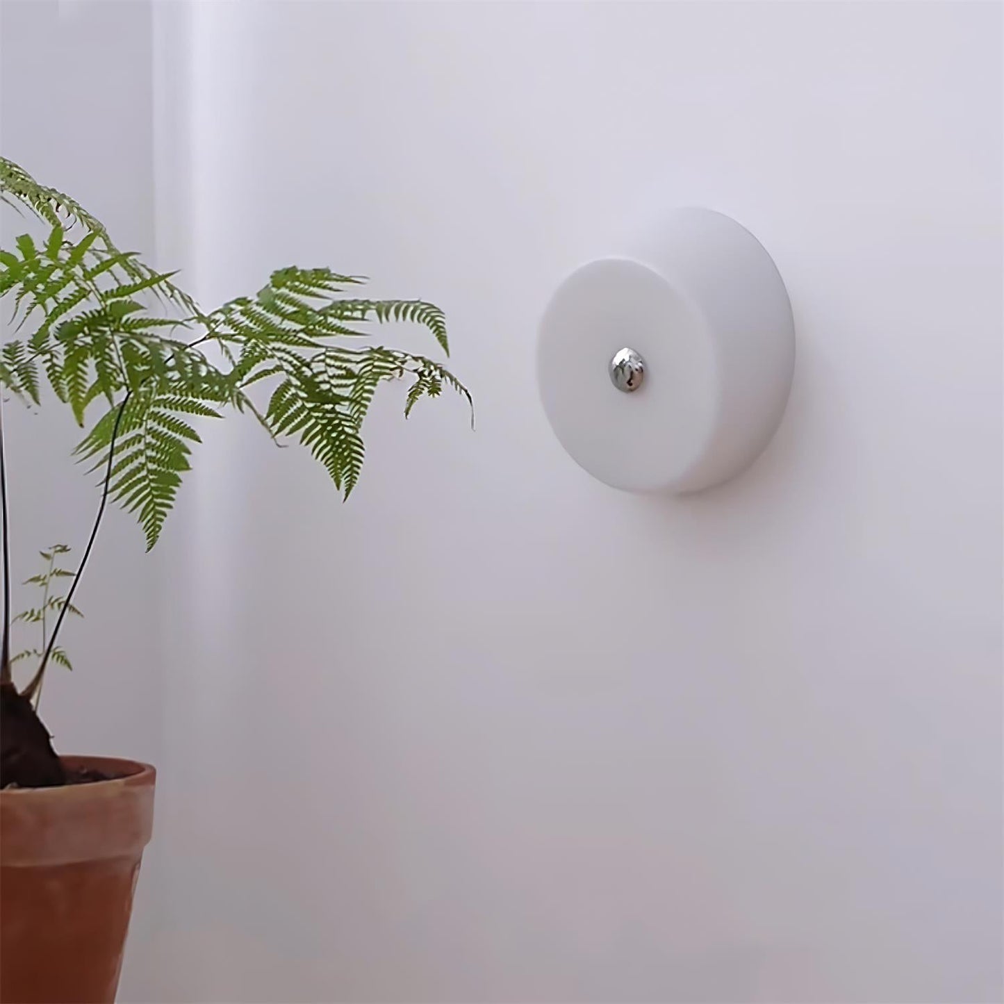 Rynx | Ben Glass Wall Lamp