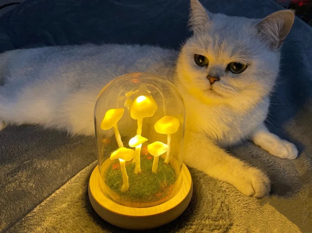 Rynx | - Create your own mushrooms - DIY natural glass - Awaken your creativity