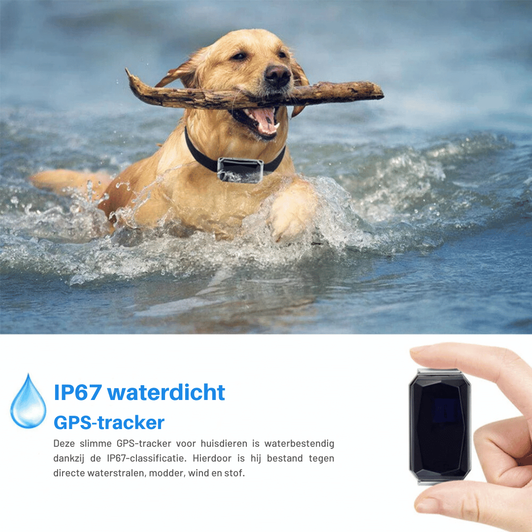 Rynx | Mini GPS Tracker | Real-time - Waterproof - Pets and Children