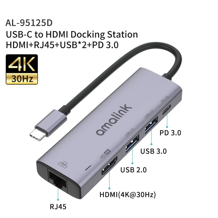 Rynx | amalink 95125D Type-C / USB-C to HDMI + RJ45 + 2 Ports USB + PD 3.0 Multifunction HUB (Gray)