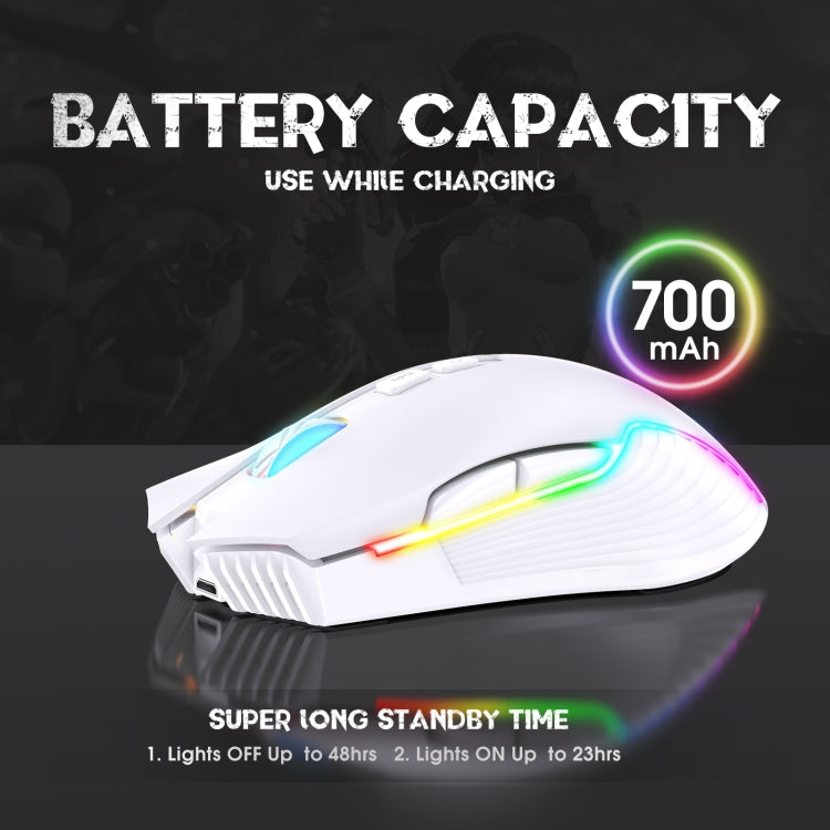 Rynx | ONIKUMA CW905 2.4G RGB Lighting Wireless Mouse (Gray White)