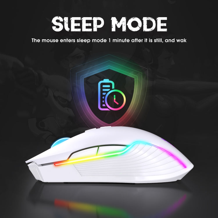 Rynx | ONIKUMA CW905 2.4G RGB Lighting Wireless Mouse (Gray White)
