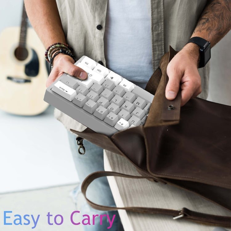 Rynx | AULA F3261 Type-C Wired Hot Swappable 61 Keys RGB Mechanical Keyboard (White Gray Green Shaft)