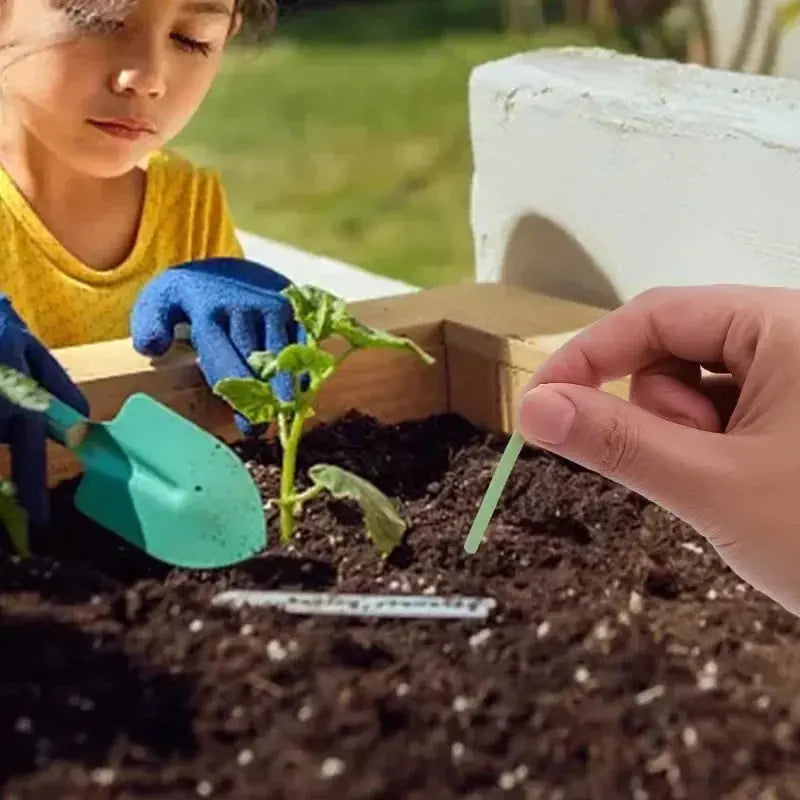 Rynx | Easy-to-use plant nutrient sticks for vibrant growth