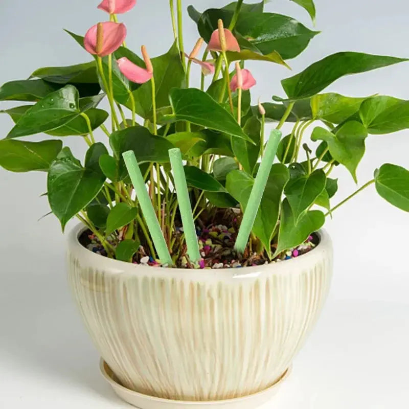 Rynx | Easy-to-use plant nutrient sticks for vibrant growth