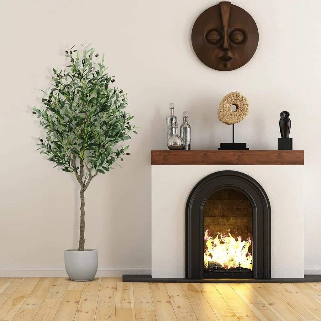 Rynx | Decor Olive Plants