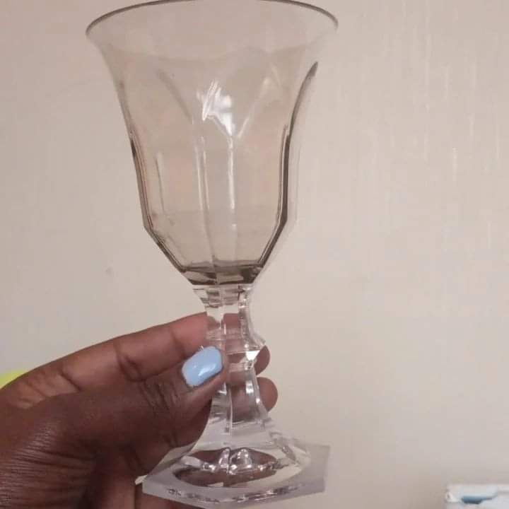 Rynx | Acrylic Wine Glass