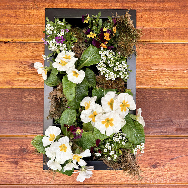 Rynx | Black Frame Living Room Wall Planter