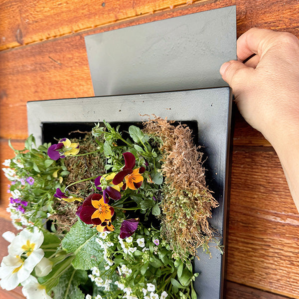 Rynx | Black Frame Living Room Wall Planter