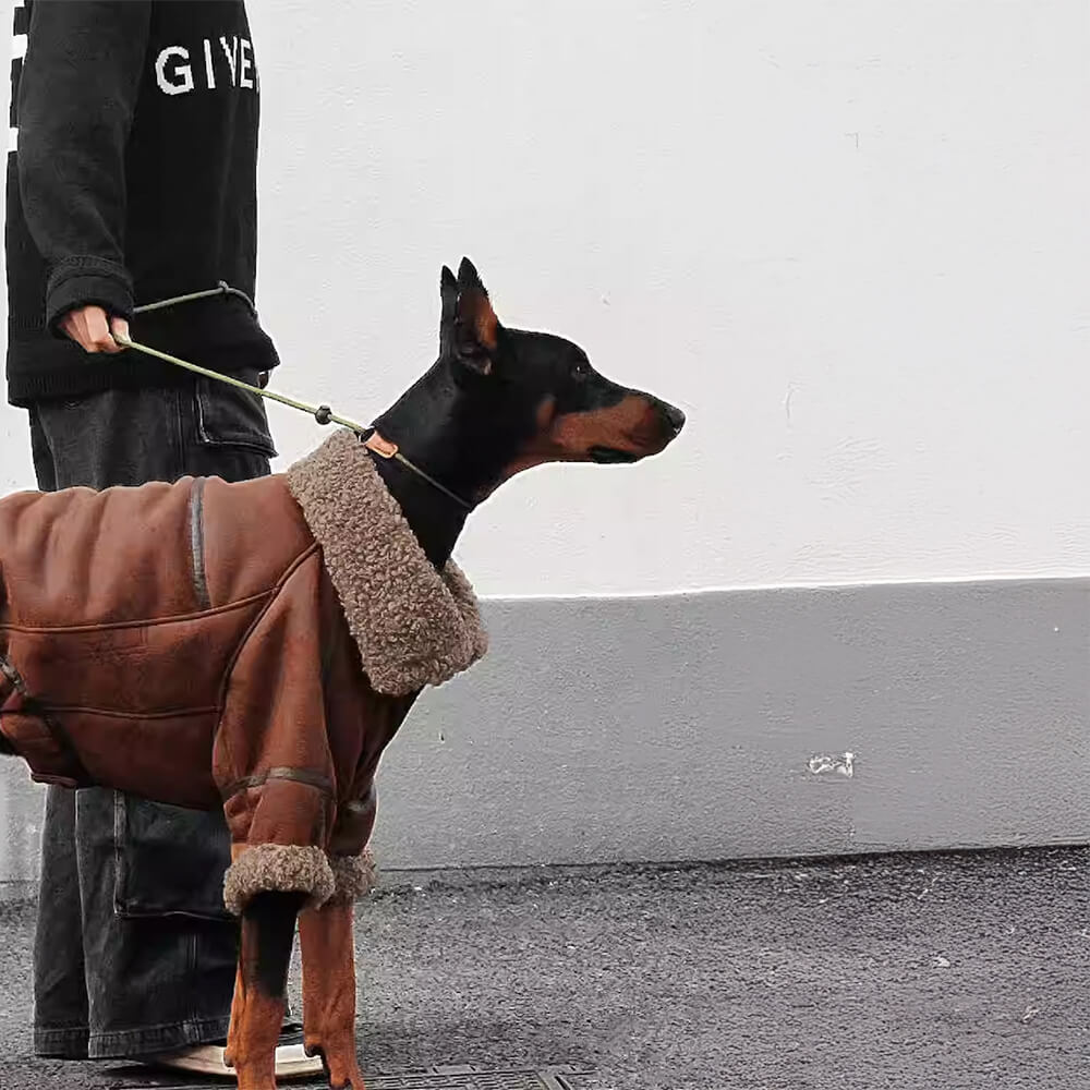 RYNX | Aviator Dog Jacket with Shearling Lining - Warm and Stylish