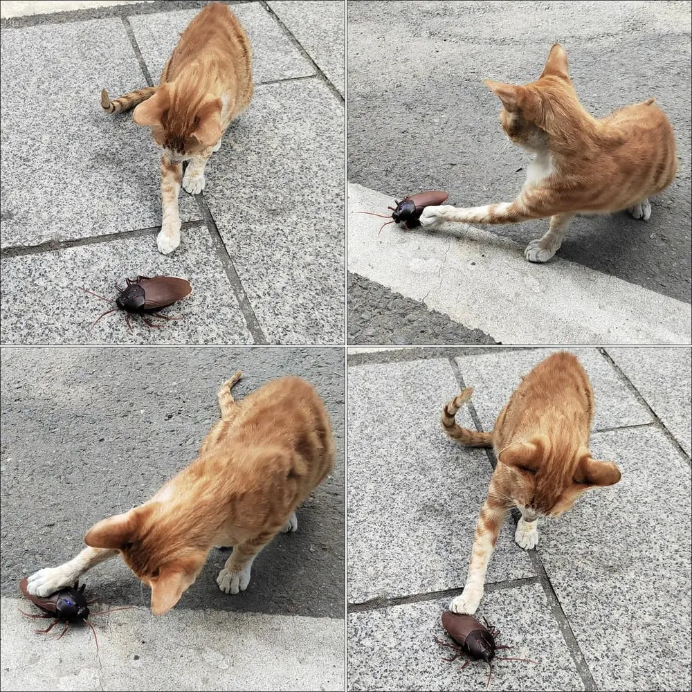 Rynx | Remote-controlled Cockroach – Realistic Crawling Effect with Glowing Eyes
