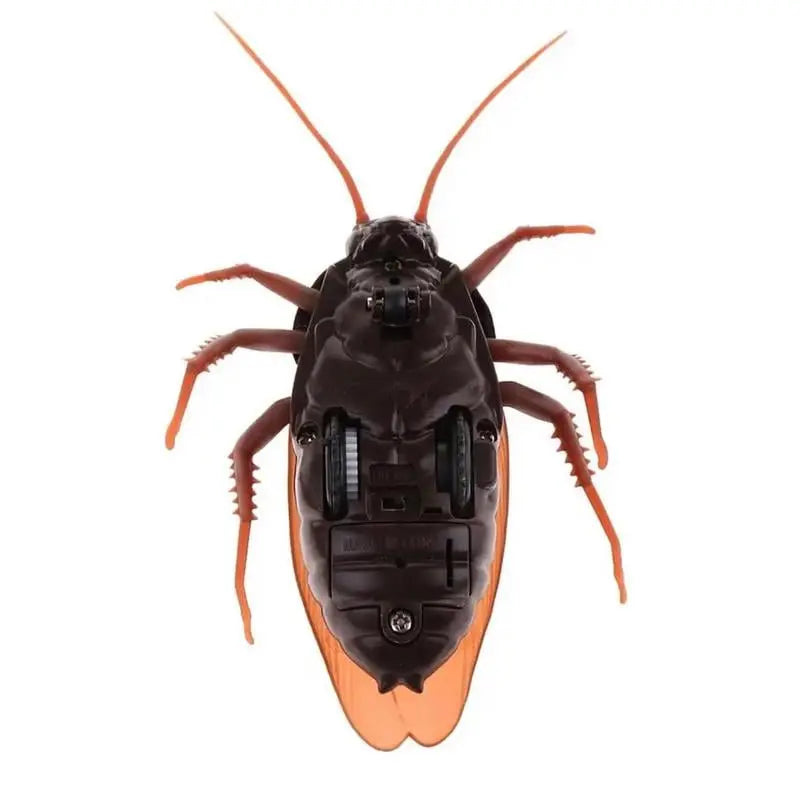 Rynx | Remote-controlled Cockroach – Realistic Crawling Effect with Glowing Eyes