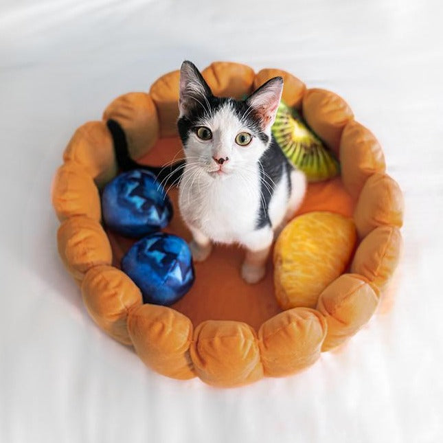 Rynx | Fruit tart Cat bed