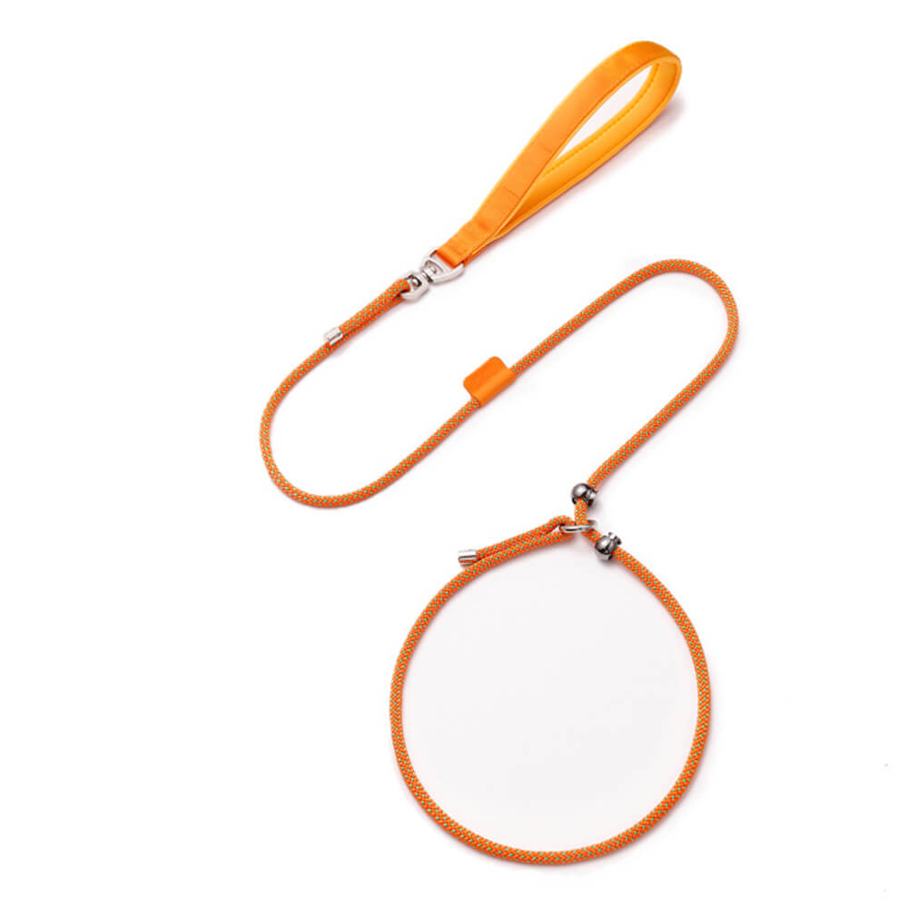 RYNX | No Pull Dog Training Leash Slip Lead with Padded Handle