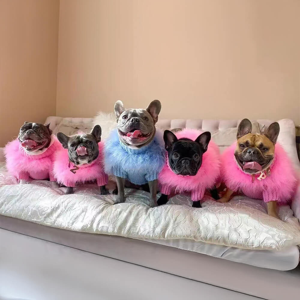 RYNX | Fluffy Fashion Luxurious Dog Turtleneck Knit Sweater