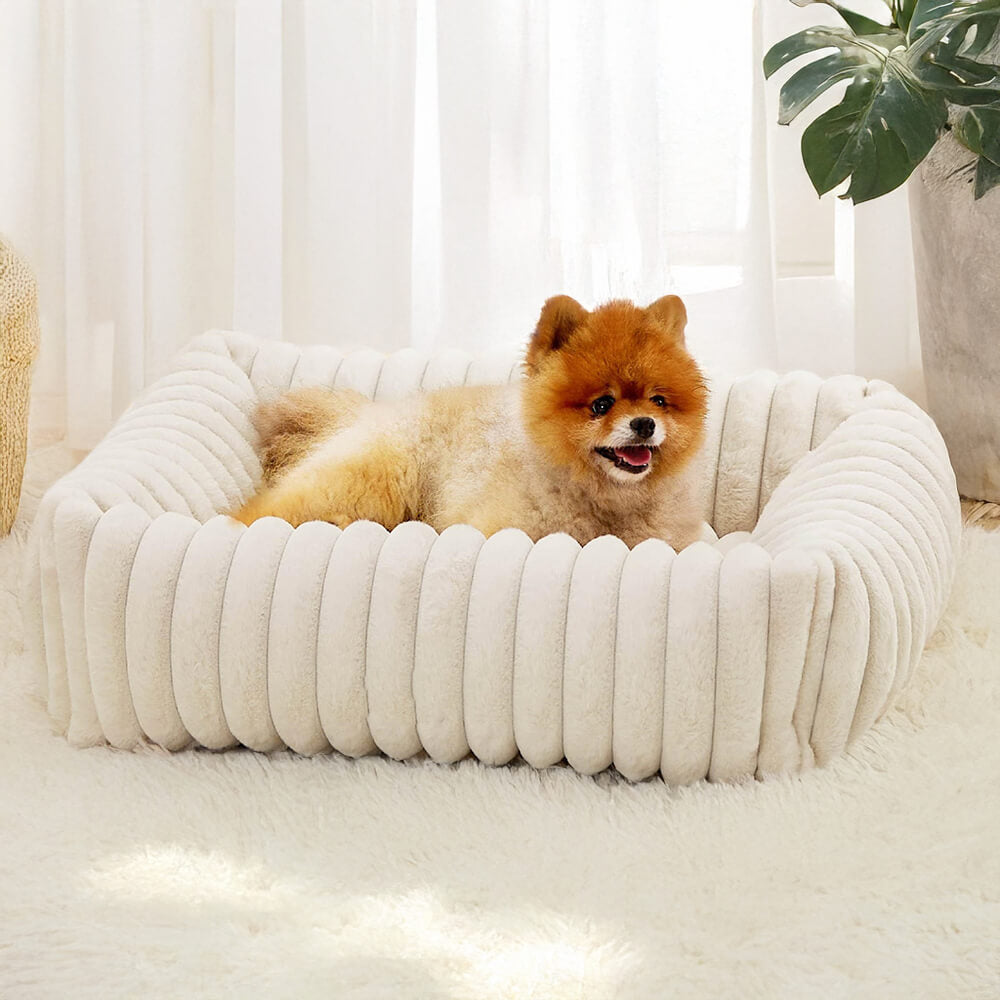 RYNX | Cozy Four-Sided Orthopedic Support Bolstered Dog & Cat Bed White S