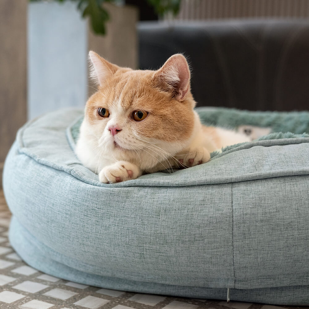 RYNX | Orthopedic Dog Bed