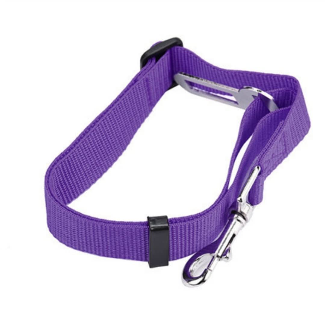 Rynx | Petsafe - Safety belt for your four-legged friend!