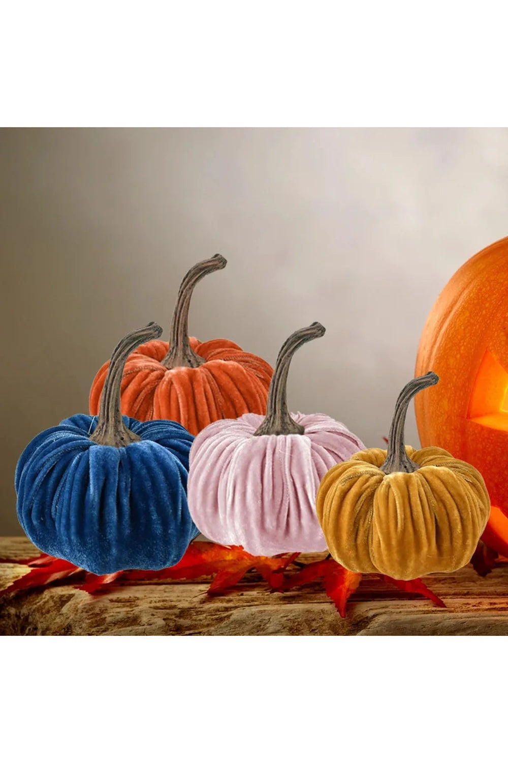 Rynx | Harvest Pumpkin Cushion Set
