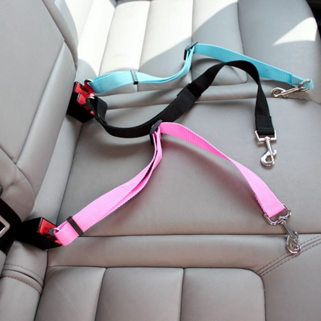 Rynx | Petsafe - Safety belt for your four-legged friend!