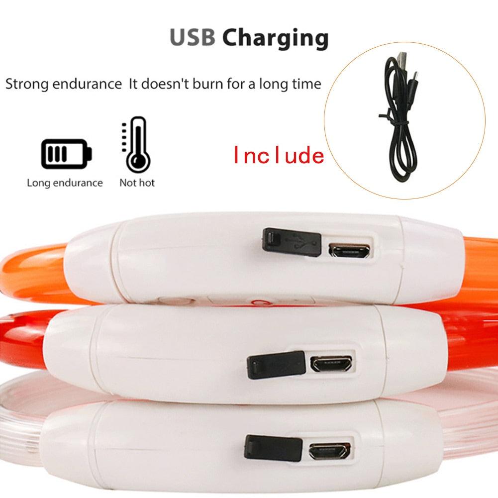 Rynx | Illuminated rechargeable USB dog grooming for optimal night safety and visibility