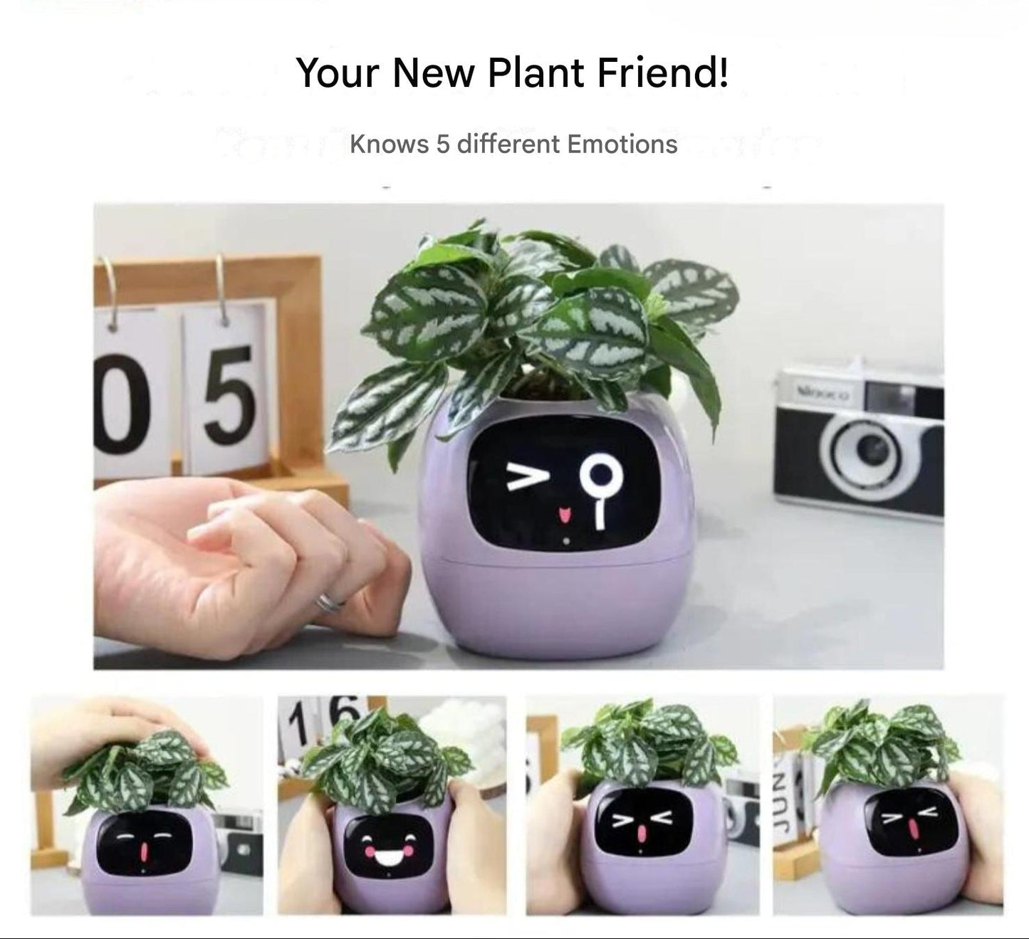 Rynx | GreenBuddy SmartPot - Automatic Smart Planter