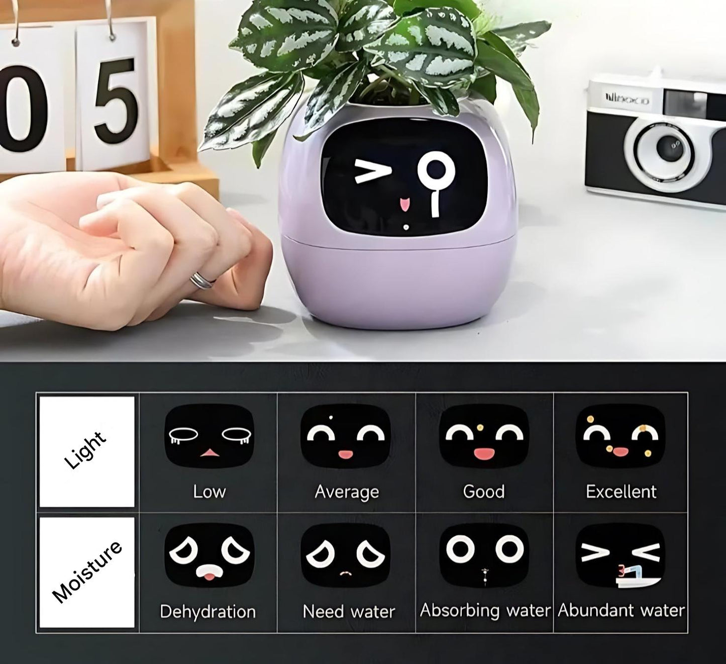 Rynx | GreenBuddy SmartPot - Automatic Smart Planter
