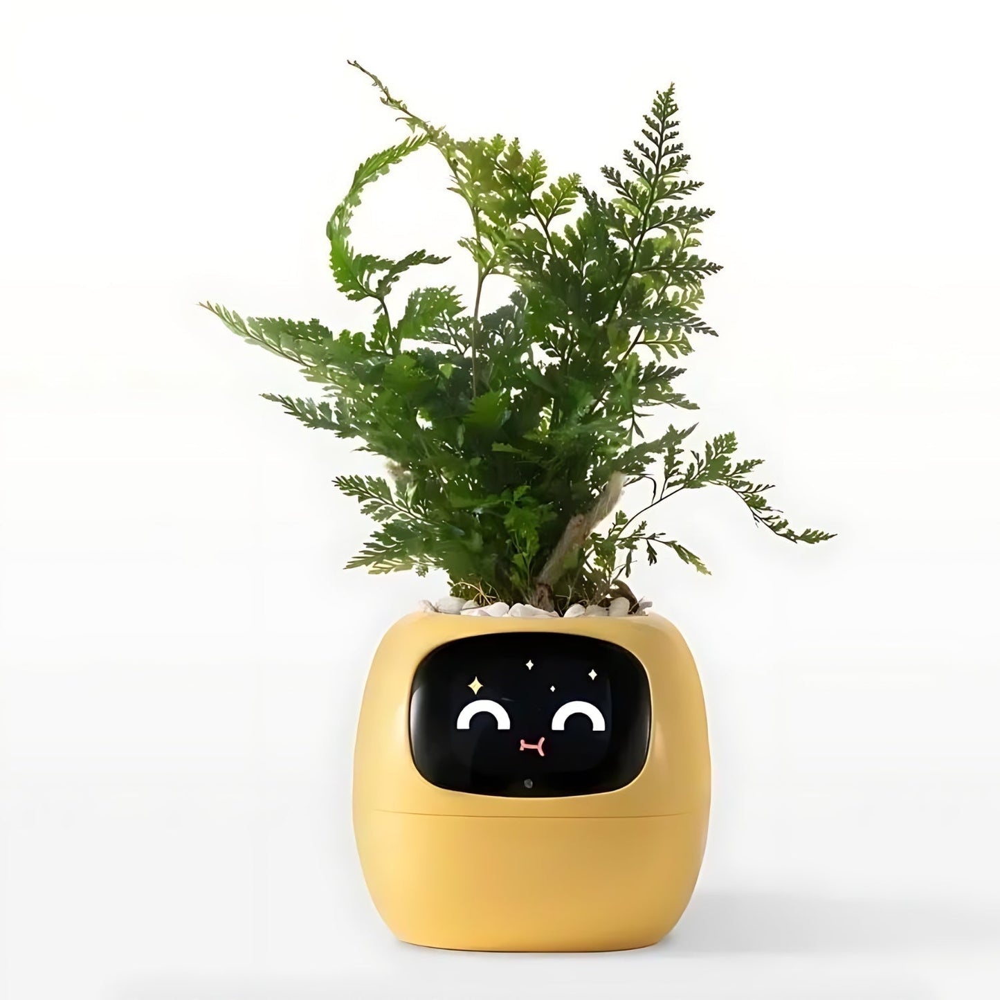 Rynx | GreenBuddy SmartPot - Automatic Smart Planter