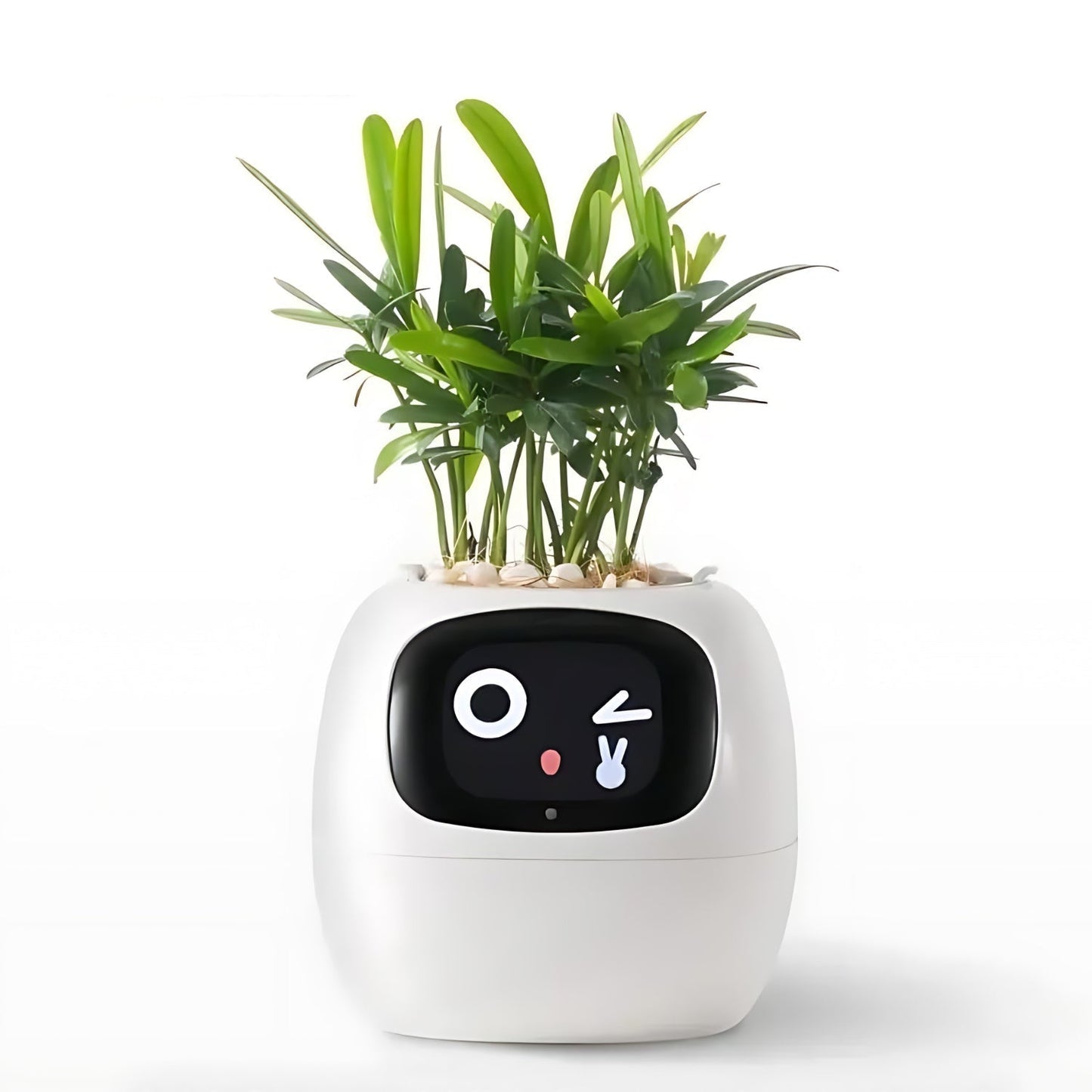 Rynx | GreenBuddy SmartPot - Automatic Smart Planter