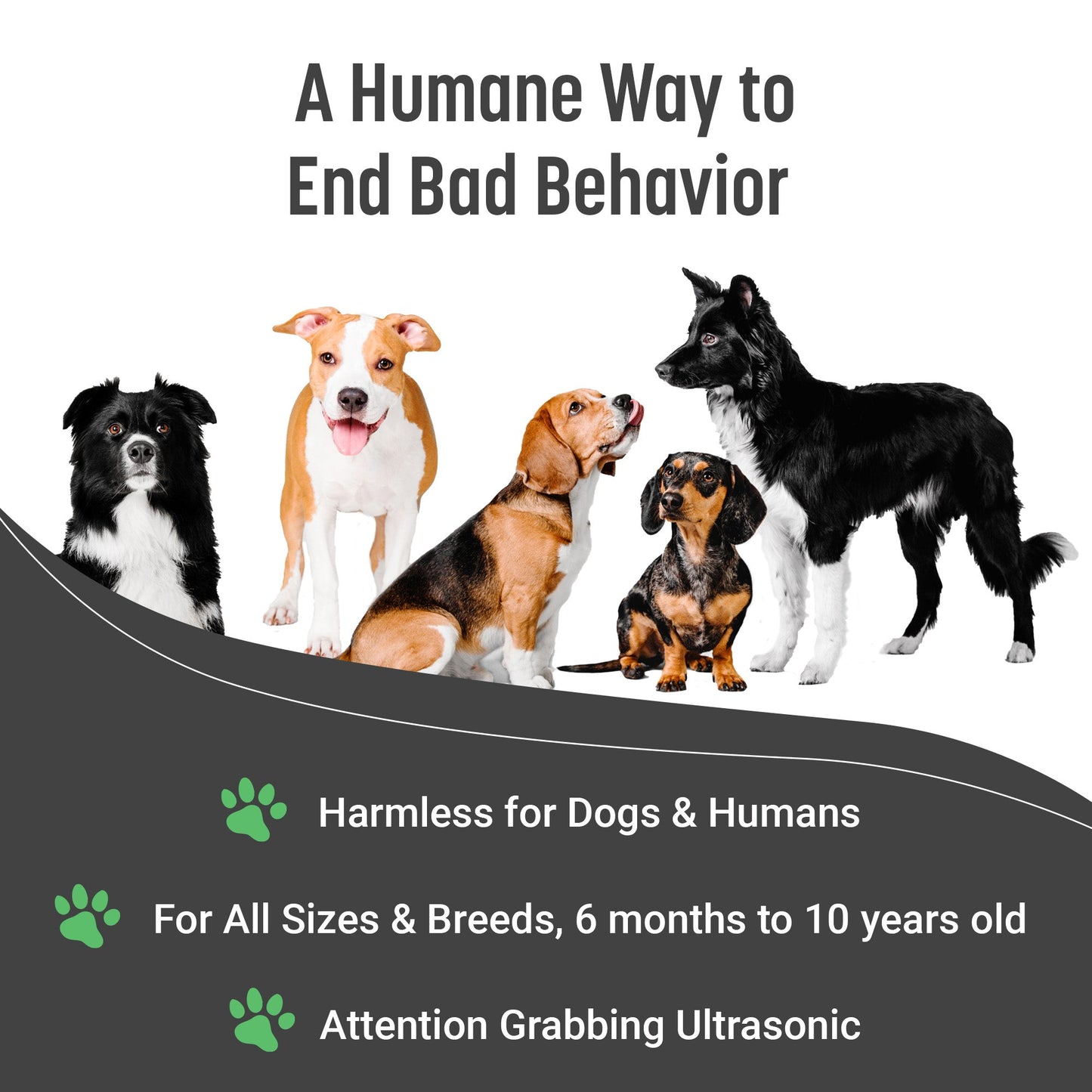 Rynx | Instant Calm Trainer – BarxBuddy Transform dog's behavior with one click
