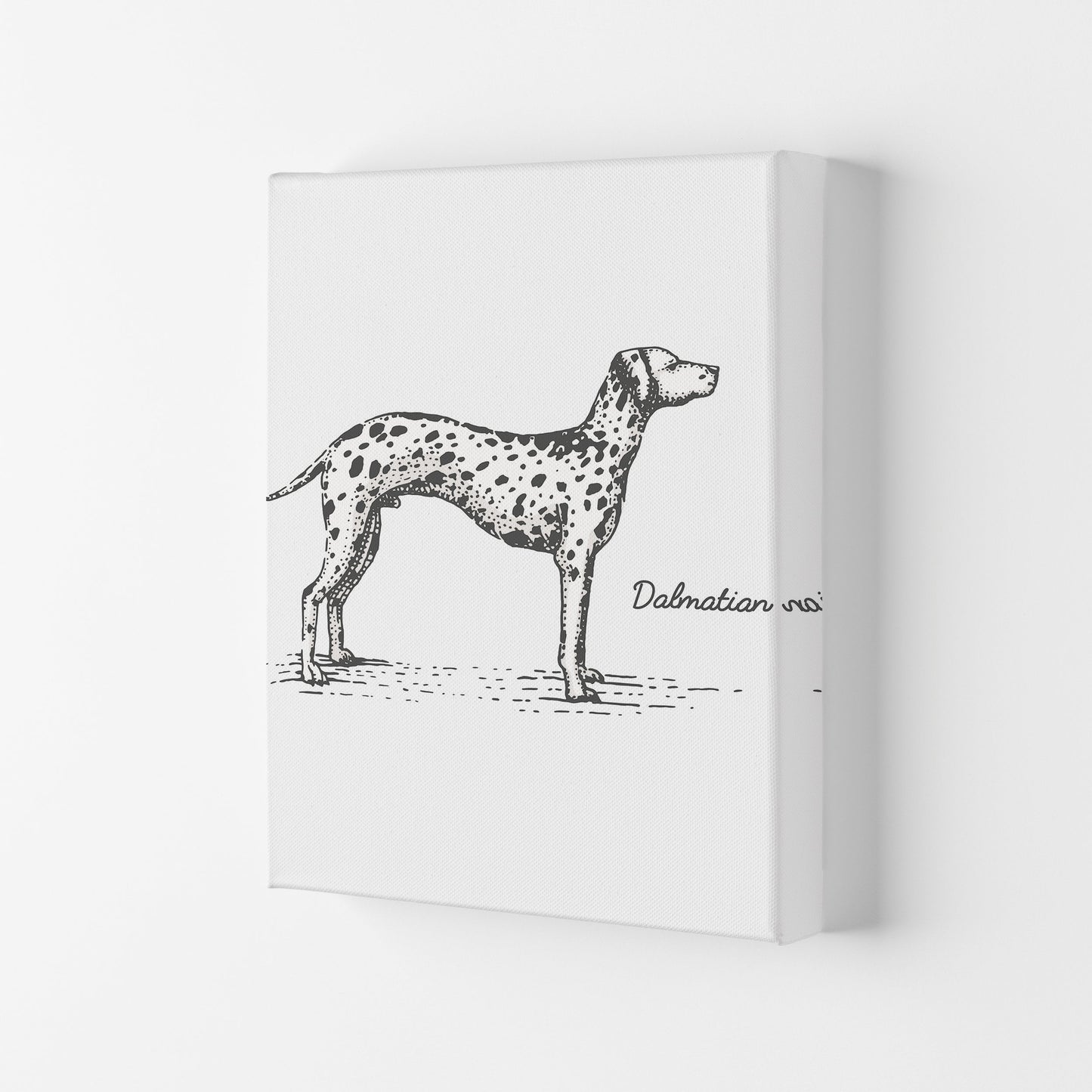 Rynx | Dalmatian Art Print by Jason Stanley