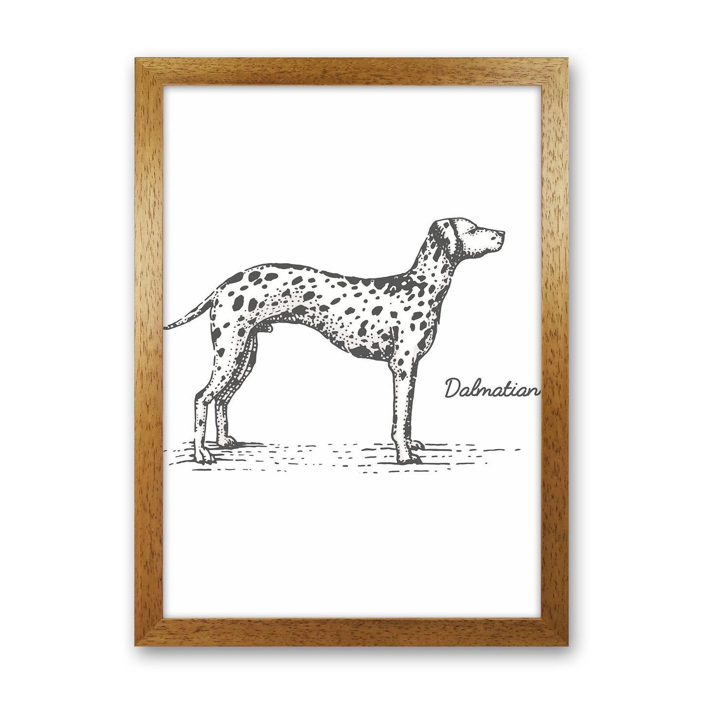 Rynx | Dalmatian Art Print by Jason Stanley