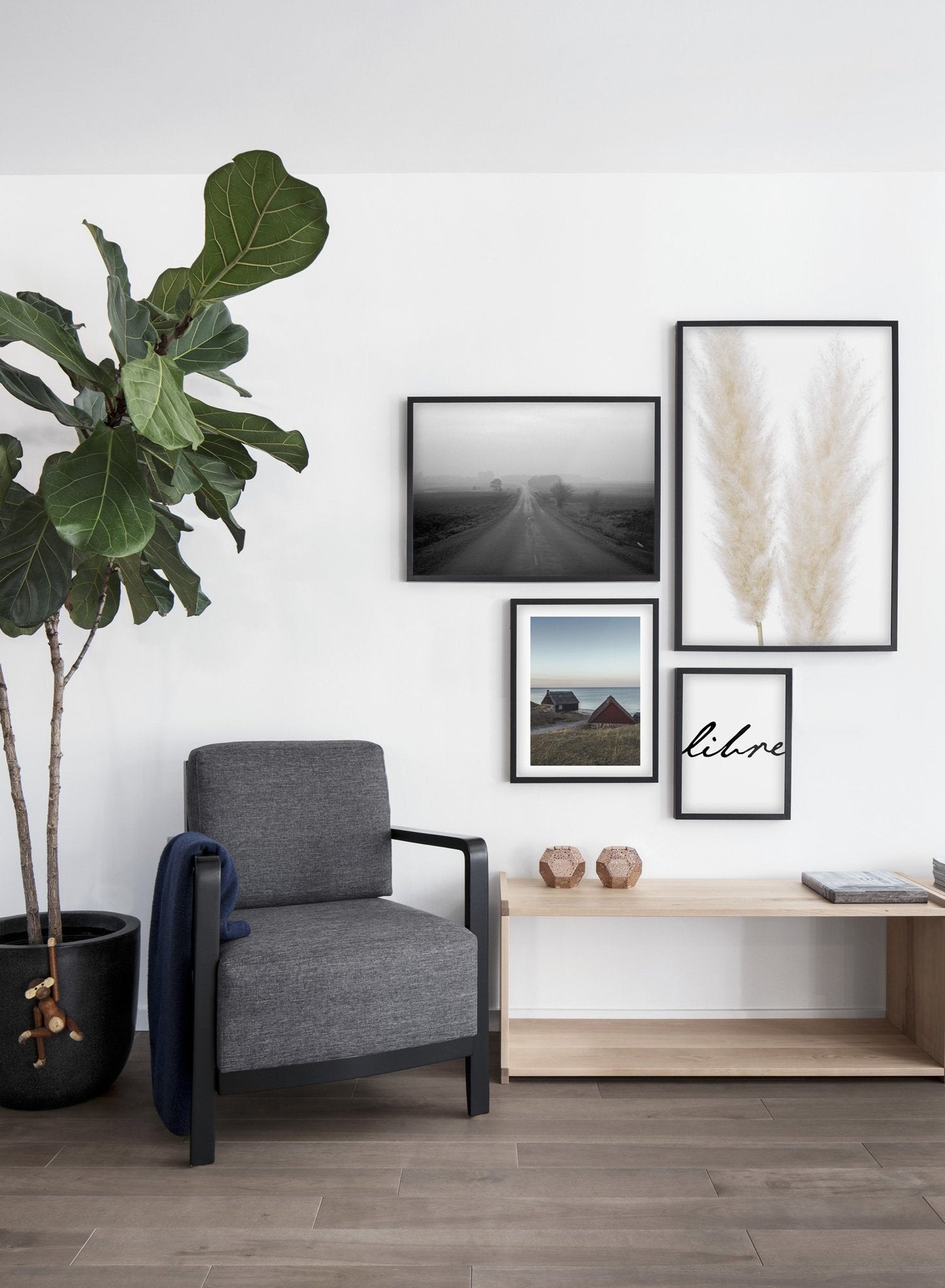 Rynx | Ornamental grasses, Poster