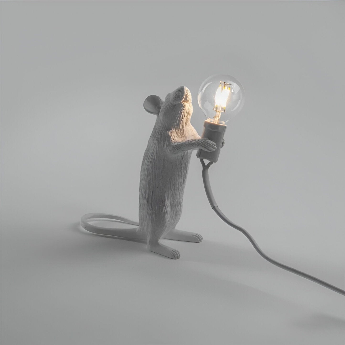 RYNX | Harz Animal Night Lights
